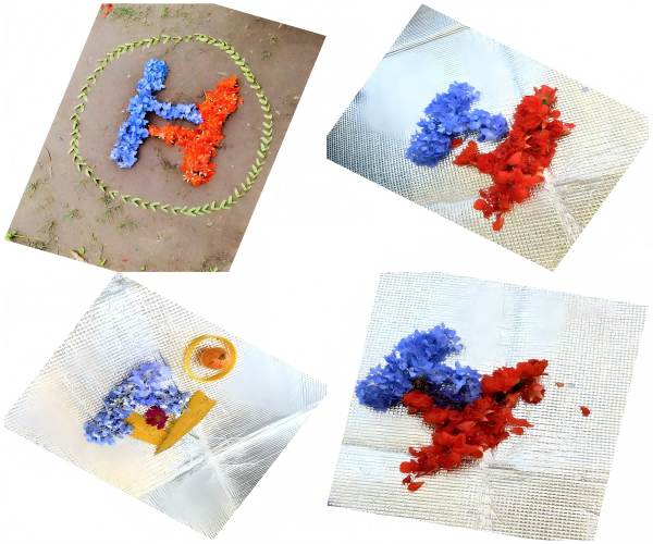 1749179565596652.png WPS拼圖0(1).png